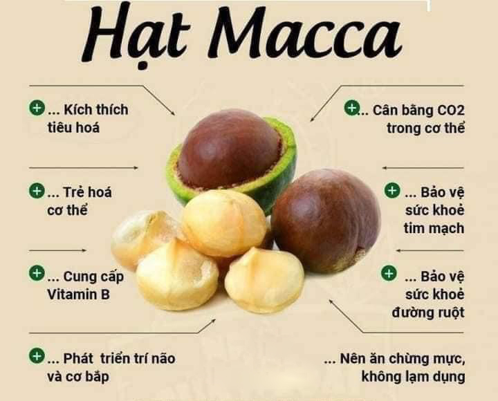 Công dụng của hạt macca